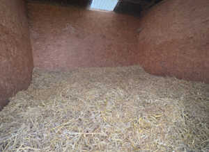 One full livery stable on a small yard in chestet