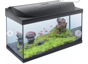 Looking for any free unwanted fish tanks 150L+