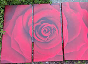 3 Piece Rose Canvas Wall Art