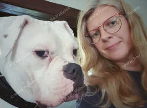 Cat sitter and Dog Walker in Ely