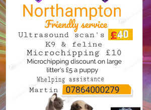 Ultrasound & Microchipping