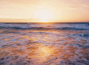 Introduction to Mindfulness with Anthony Saturday 15th February 2025  10-12.30pm