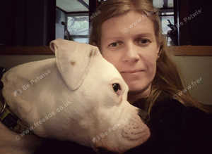 Dog Training In Your Home