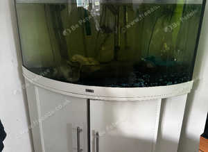 Corner fish tank