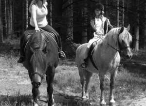 Wanted very safe Horse for nervous Rider