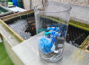 SMALL ROUND FISH TANK WITH ACCESSORIES AND LIGHT