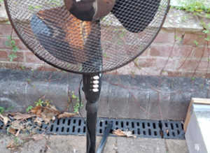 Benross Freestanding 3 Speed Fan