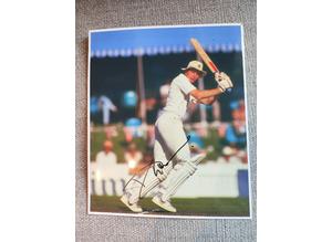 Signed, 8"x10" Photo, David Gower OBE (Cricketer, England Captain) + AFTAL COA