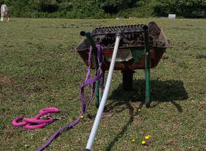 Paddock/field wanted