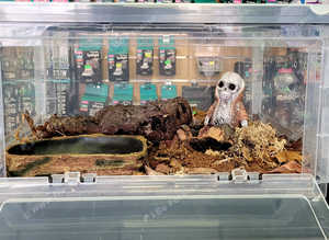 Ready Set Up Special offer for Variety of Inverts