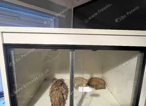 2ft viv