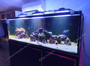Marine aquarium complete