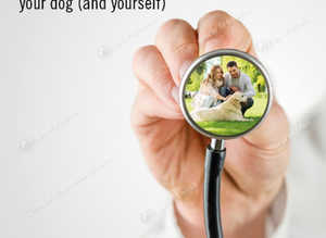 The REAL Epidemic: Preventing and Treating Allergies and Autoimmune Diseases in your dog (and yourself), by Catherine O'Driscoll.