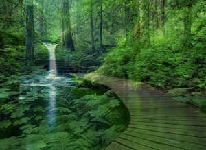 Mindfulness retreat day with Lorraine Saturday 22nd march 2025 10-4pm