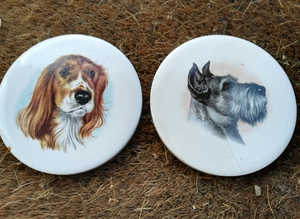 Dog Ceramic Coasters x 2