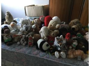 Large Collection of Soft Toys