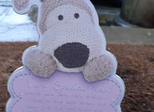 Special Nan Gift Frame