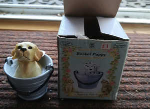 Regency Fine Arts Boxed Bucket Puppy New