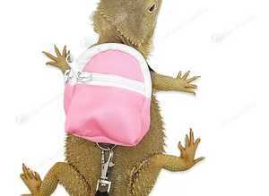 Pink Back Pack Lizard Harness