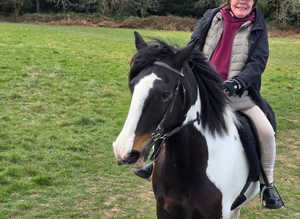 Horses available for part loan/share in Arborfield- Berkshire