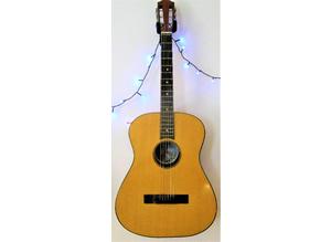 True Tone  12 fret Acoustic Guitar