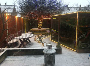 Rehome your unwanted birds any considerd from Parrots / Finches