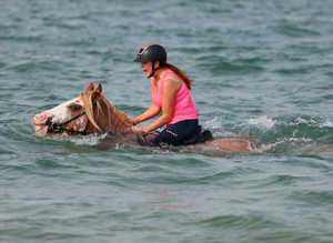Horses available to come and ride. Reading g, Berkshire