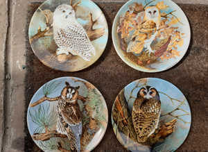 Coalport " The Wise Owl" Ltd Edition Collectors Plates X 4