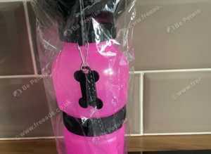 Pet travel water bottle