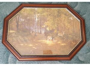 Beautiful forest framed print. Collection only Chatham, Kent