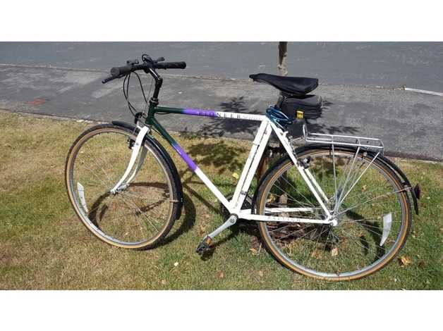 Raleigh pioneer best sale spirit ladies bike