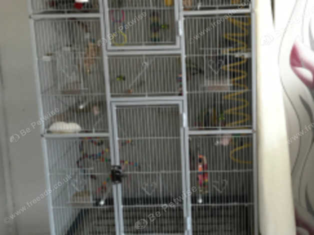 large white budgie cage