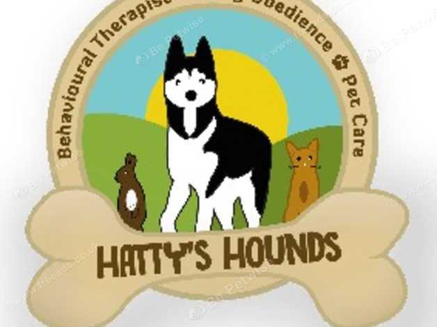 Hatties dog hot sale daycare