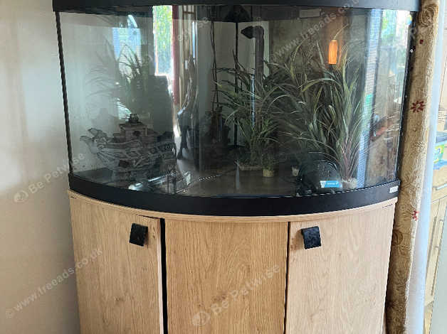 Fluval hotsell corner tank