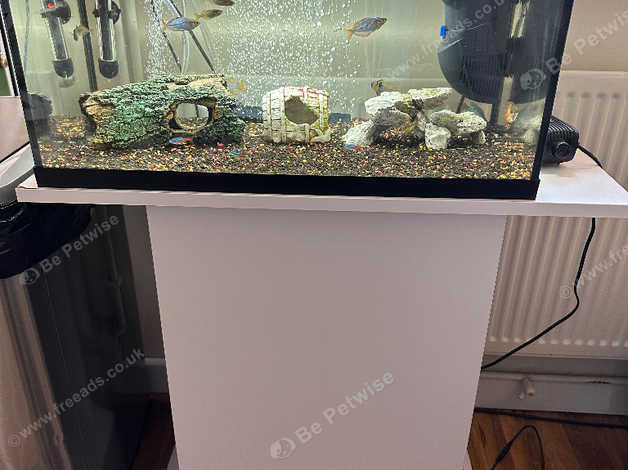 Argos fish best sale tank stand