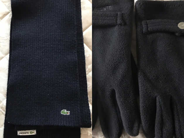 lacoste gloves