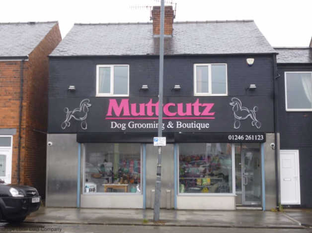 Mutt cutz hot sale