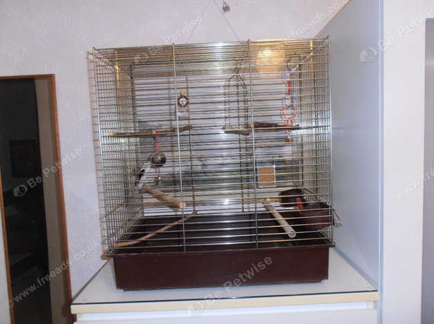 Medium bird hotsell cages for sale