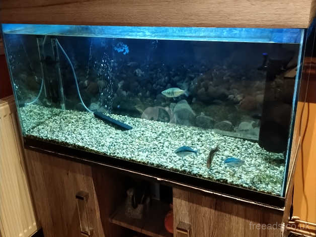 200l Aquarium mit Unterschrank/Zubehör200l Aquarium mit Unterschrank/Zubehör  