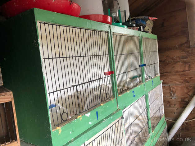 used canary breeding cages for sale