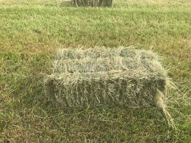 Hay Bales For Sale In Frome Ba11 On Freeads Classifieds Animal Feed Classifieds