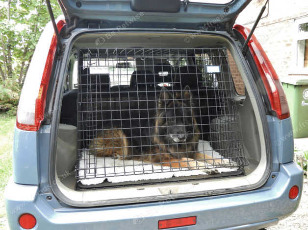 Dog pod car crate best sale