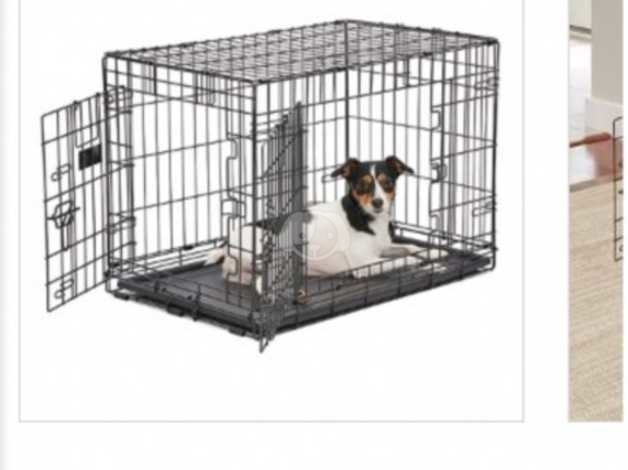 what size is a medium dog crate