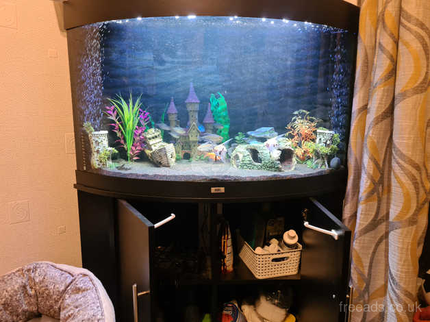 Juwel corner outlet tank