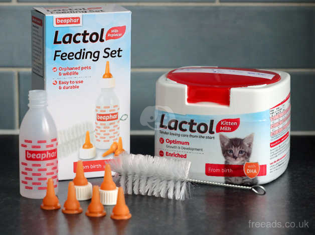 Beaphar lactol hotsell for kittens