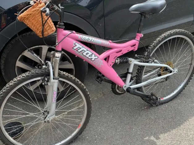 Trax mountain bike discount pink