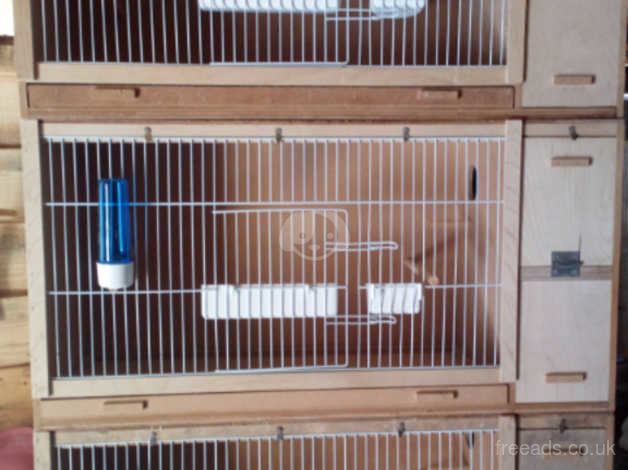 budgie breeding cages