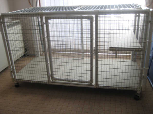 Ideal Kitten Pen in Folkestone Kent Freeads