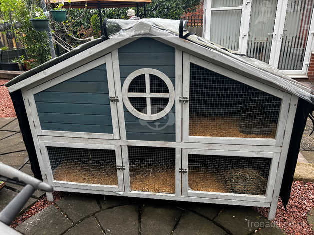 Foxglove guinea pig 2024 and rabbit hutch