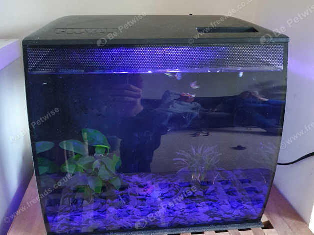 Fluval flex glass aquarium 34 outlet litre